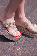 Circle Wedge