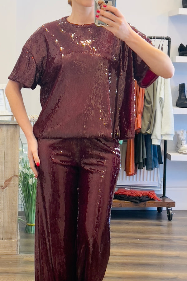 Short Sleeve Sequin Blouse